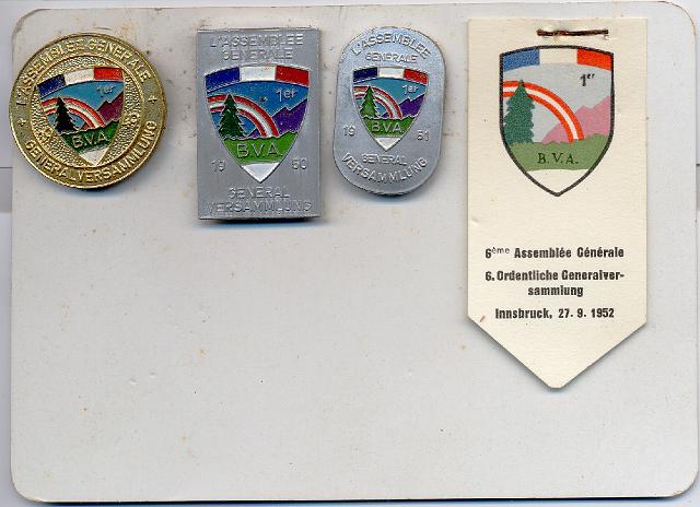 Abzeichen Freiwilligenbattalion.jpg